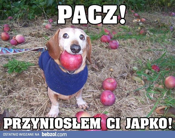 Pacz, mam coś dla ciebie!