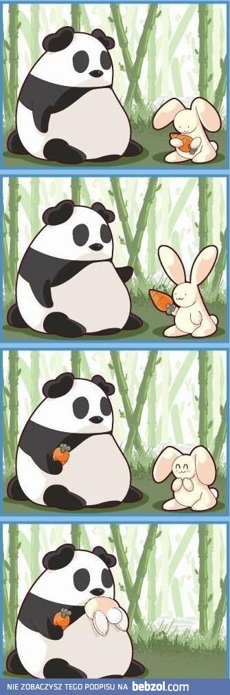Głodna Panda wcale nie tak słodka jakby się wydawało.