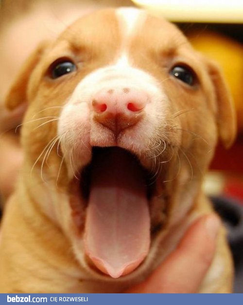 Już wiesz co powinieneś teraz zrobić...