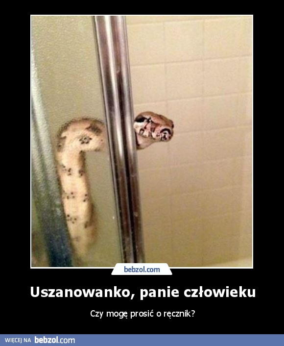 Uszanowanko, panie człowieku