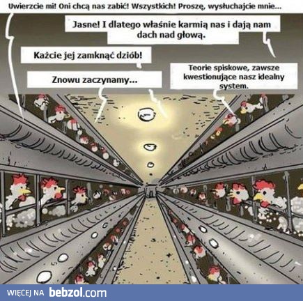 Teorie spiskowe są głupie?