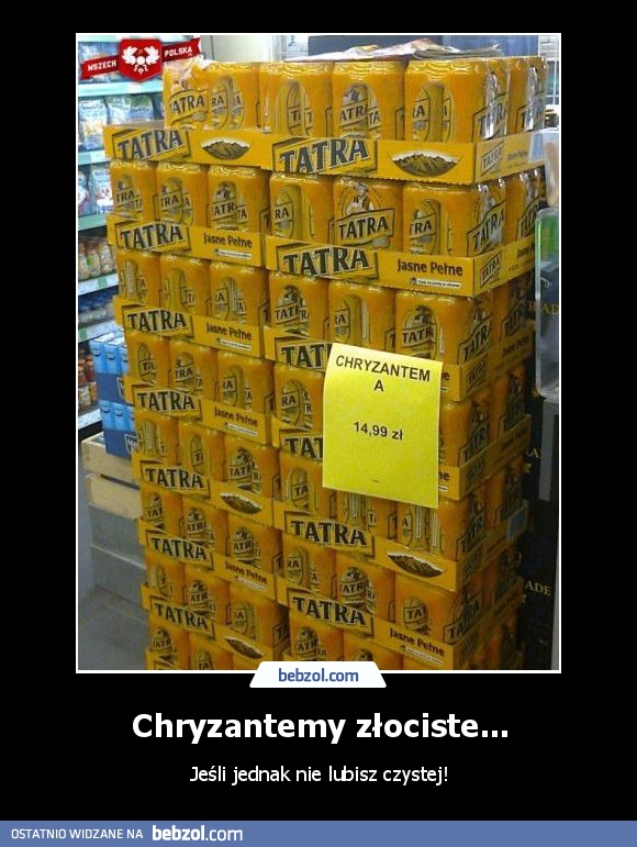 Chryzantemy złociste...