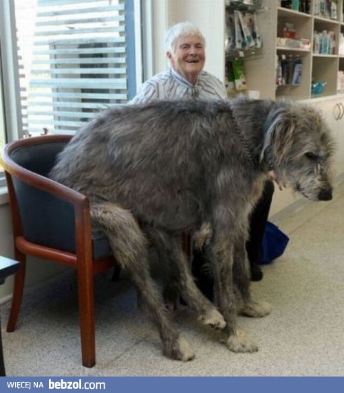 Jak sprzedawali mówili, że miniaturka. Mówili...