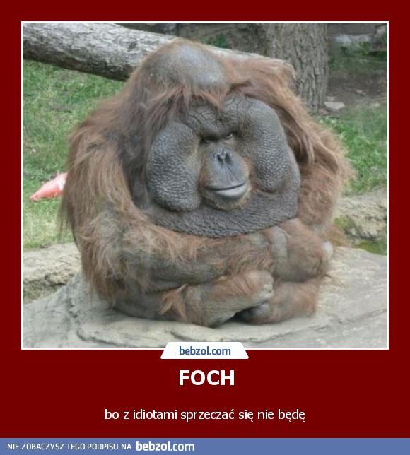 Foch!