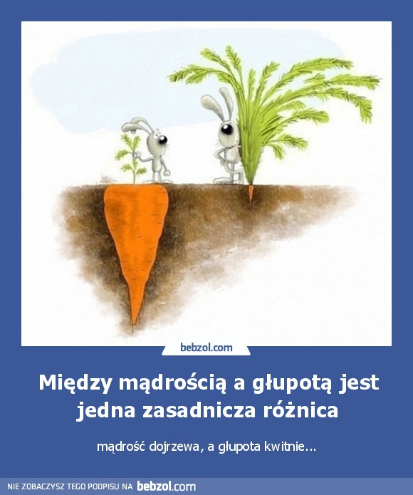 Między mądrością a głupotą jest jedna zasadnicza różnica