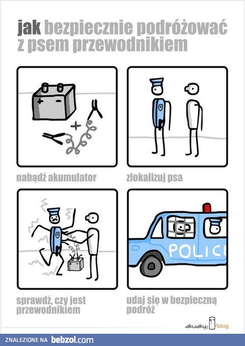 Bezpieczna podróż z psem przewodnikiem