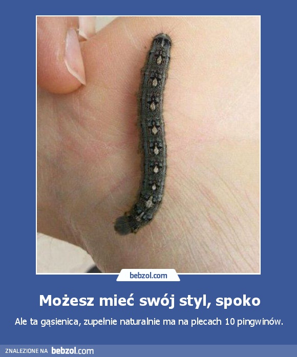 Możesz mieć swój styl, spoko