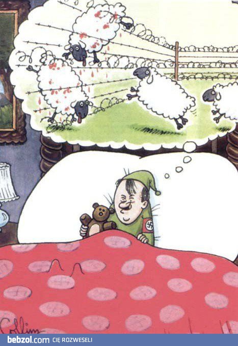 Adolfik, jeśli nie możesz zasnąć policz owieczki