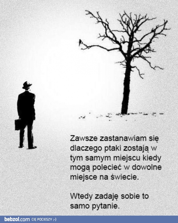 Zastanawiające