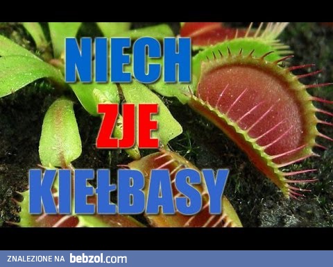 Niech zje kiełbasy!