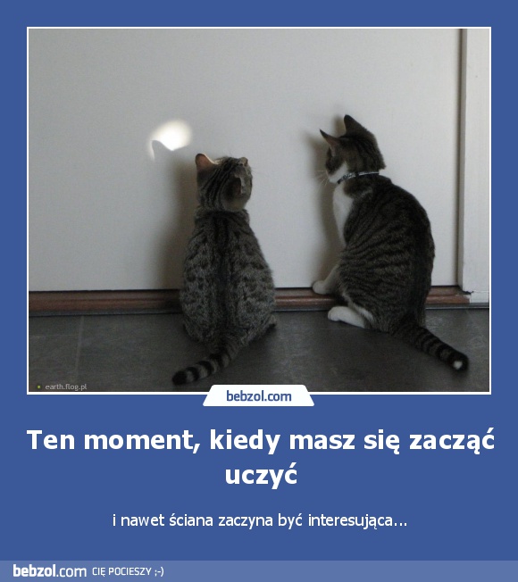 Ten moment, kiedy masz się zacząć uczyć