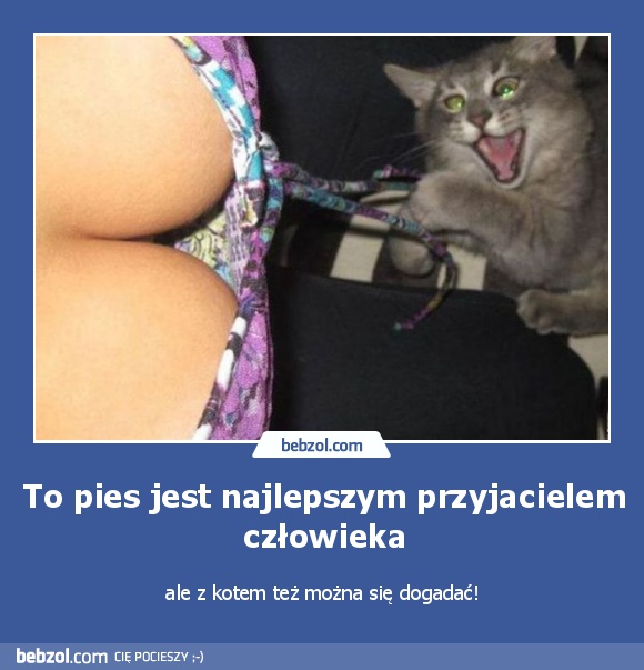 To pies jest najlepszym przyjacielem człowieka