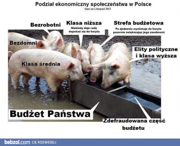 Prawdziwy podział ekonomiczny społeczeństwa w Polsce