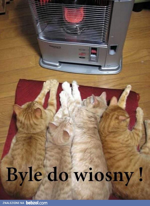 Byle do wiosny!