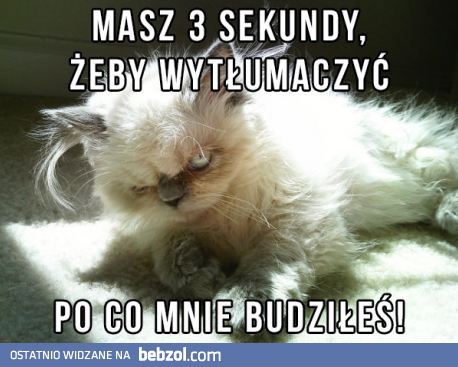 Masz 3 sekundy!