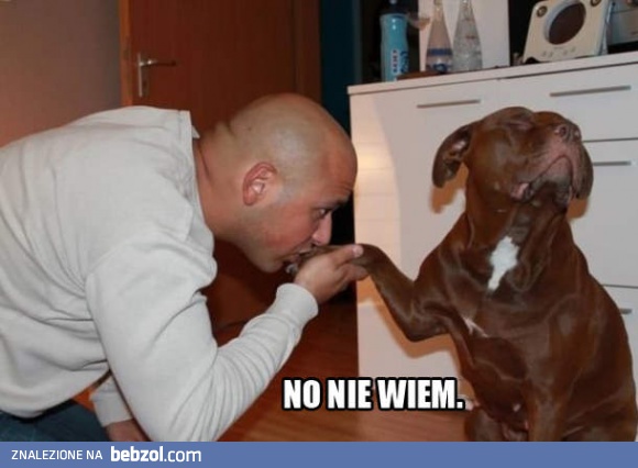 Idziemy na spacer?