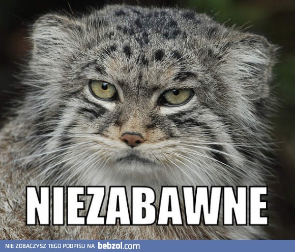 Zupełnie nieśmieszne