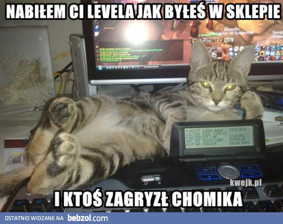 Szybkie streszczenie