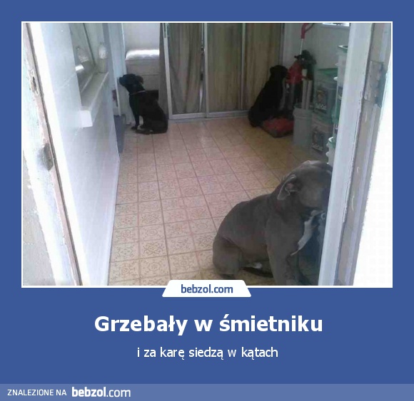 Grzebały w śmietniku