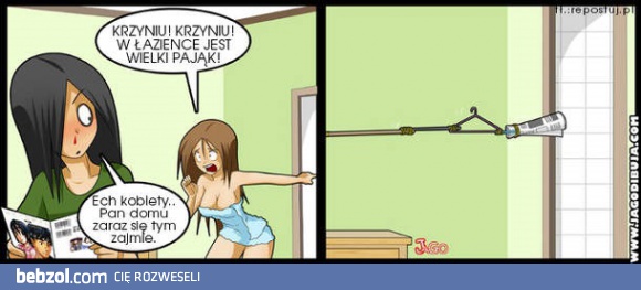 Pan domu się tym zajmie