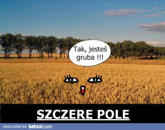 Szczere pole