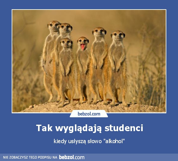 Tak wyglądają studenci