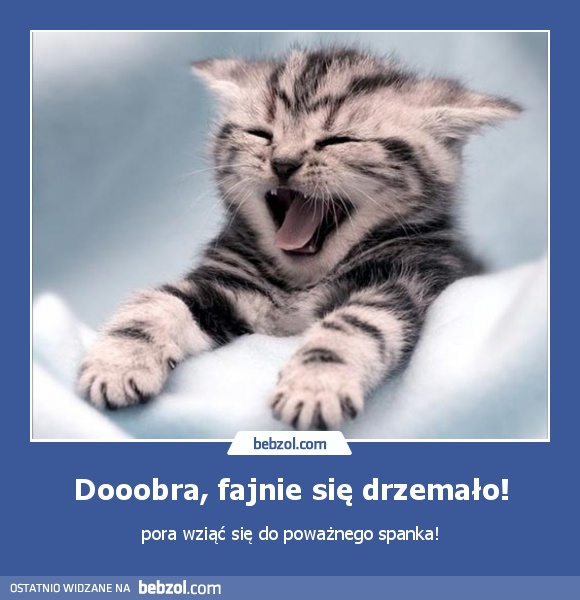 Dooobra, fajnie się drzemało!