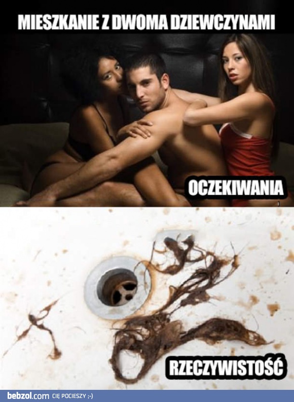 Mieszkanie z dziewczynami