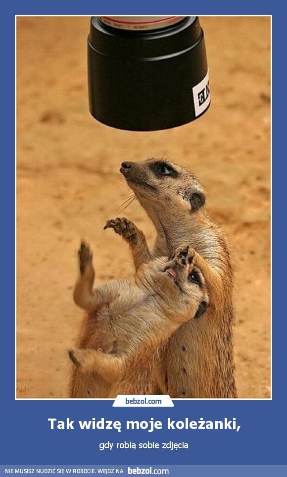 Tak widzę moje koleżanki