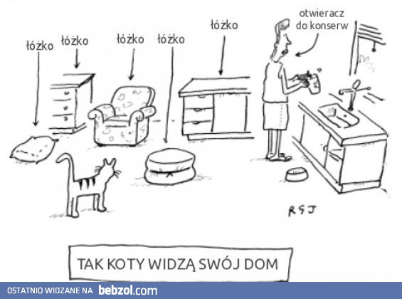 Tak koty widzą dom