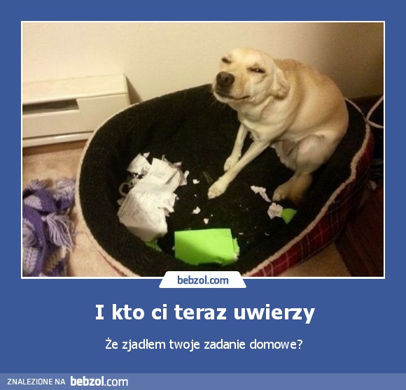 I kto ci teraz uwierzy