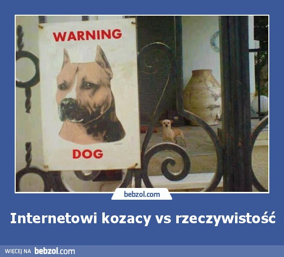 Internetowi kozacy vs rzeczywistość