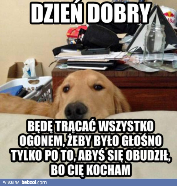 Dzień dobry!