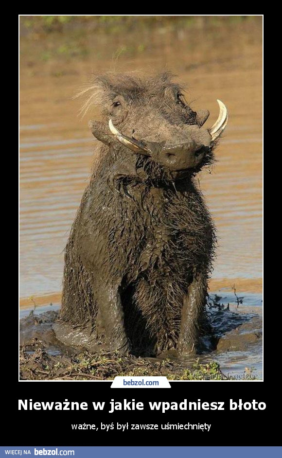 Nieważne w jakie wpadniesz błoto