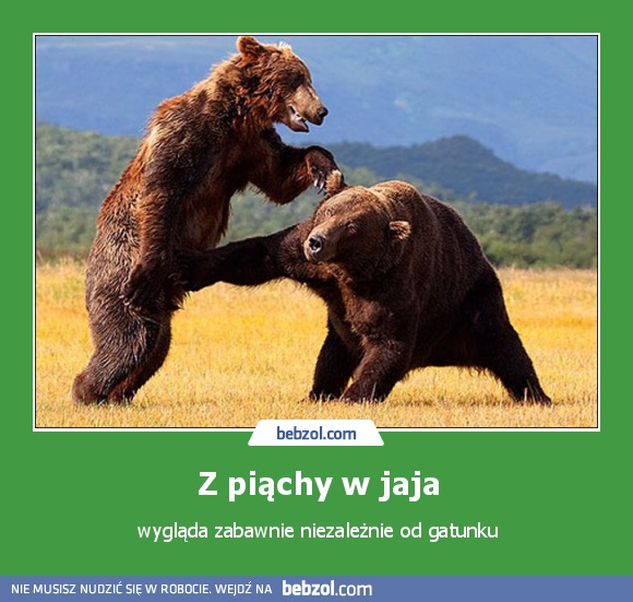 Z piąchy w jaja