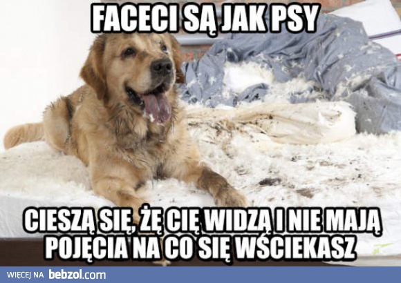 Faceci są jak psy