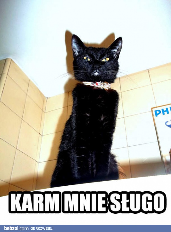 Karm mnie!