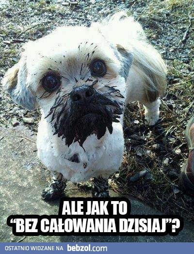 Ale jak to?
