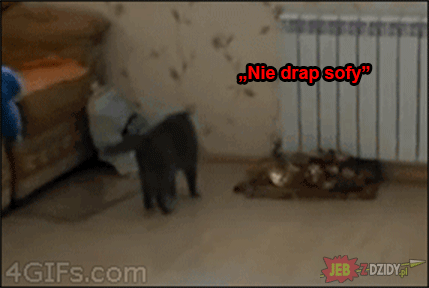 Szydera z człowieka