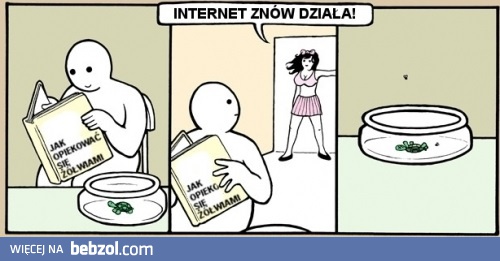 Internet znów działa
