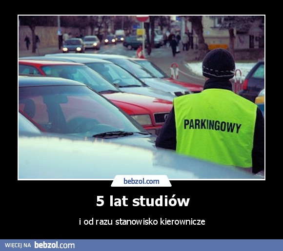 5 lat studiów