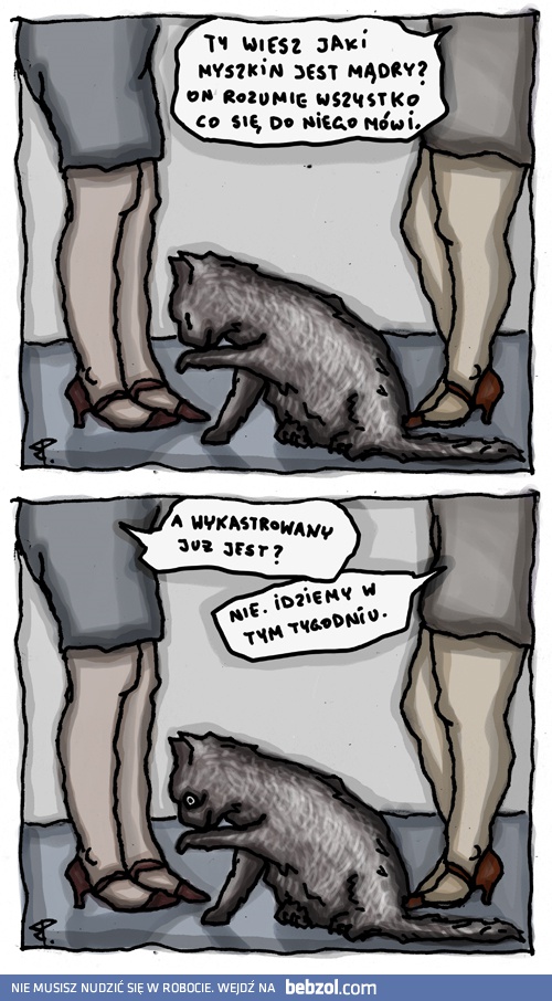 Ty wiesz jaki Myszkin jest mądry?