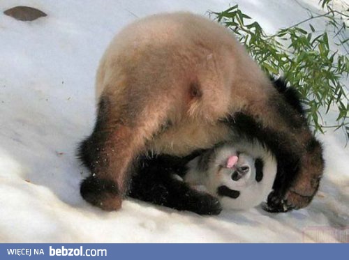 Zgadnij gdzie cię mam