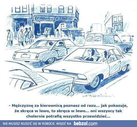 Jak poznać mężczyznę za kierownicą