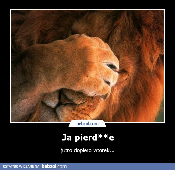 Ja pierd**e