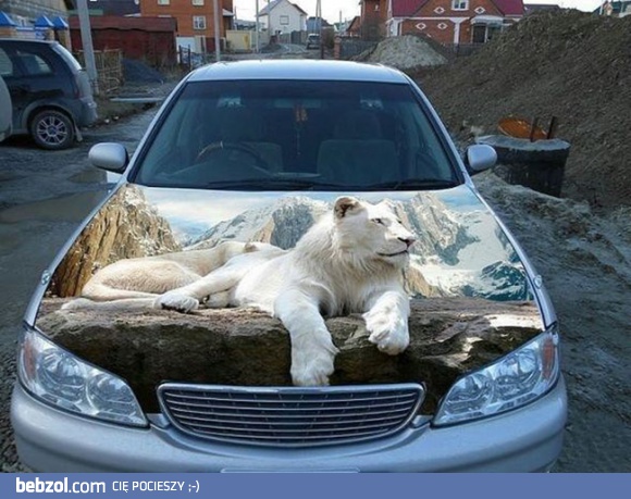 Trójwymiarowa maska