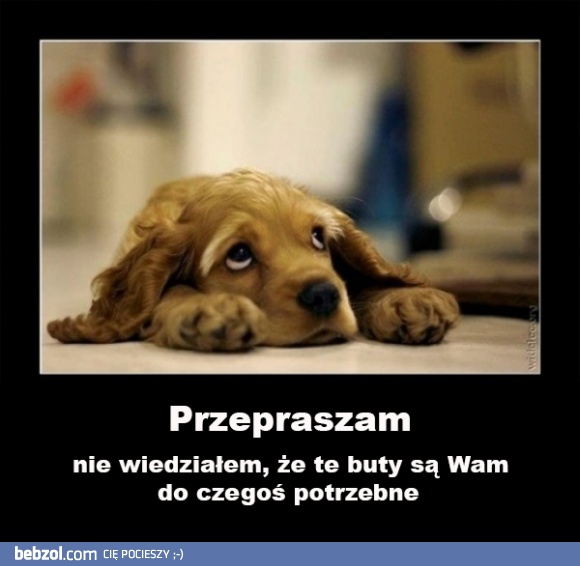 Przepraszam...