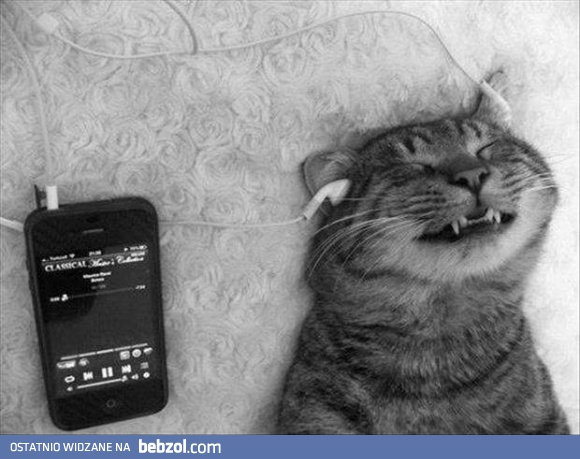 Nawet one wiedzą, że bez muzyki życie nie ma sensu