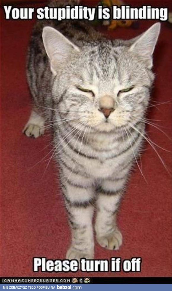 Twoja głupota oślepia