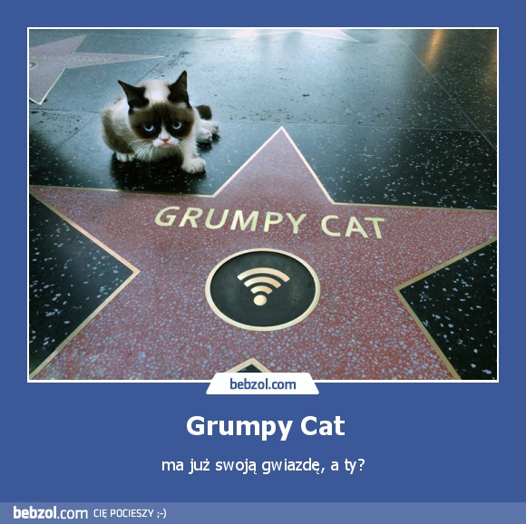 Grumpy Cat